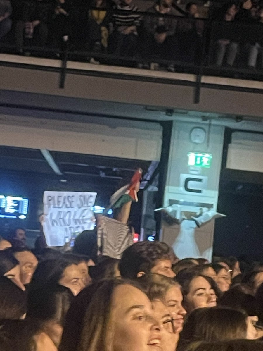 ppl w palestine flag and kuffiyeh at hozier in vienna tonight i see you guys ♥️🕊️🍉