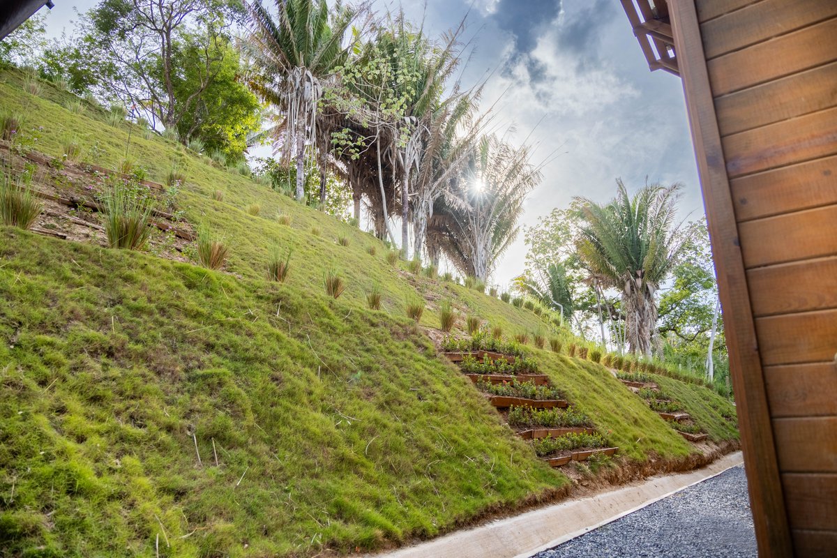 ProsperaGlobal's tweet photo. Projects like #CircularFactory not only drive sustainability but also enhance Honduras' image as an innovation hub, boosting foreign investment and showcasing a commitment to cutting-edge architectural development. https://t.co/LSxnDQxiaC