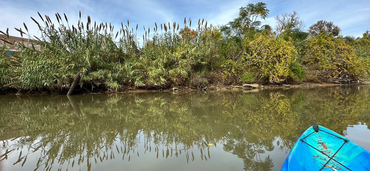 GeoffMoJo's tweet photo. Service Sunday. Every first-Sunday-of-the-month a group of government agencies and local businesses sponsors a clean up of the Buffalo Bayou. Spending a couple of hours kayaking the bayou and cleaning out garbage and debris in the water. Not a bad way to give back! https://t.co/Jp7K6kQiRK