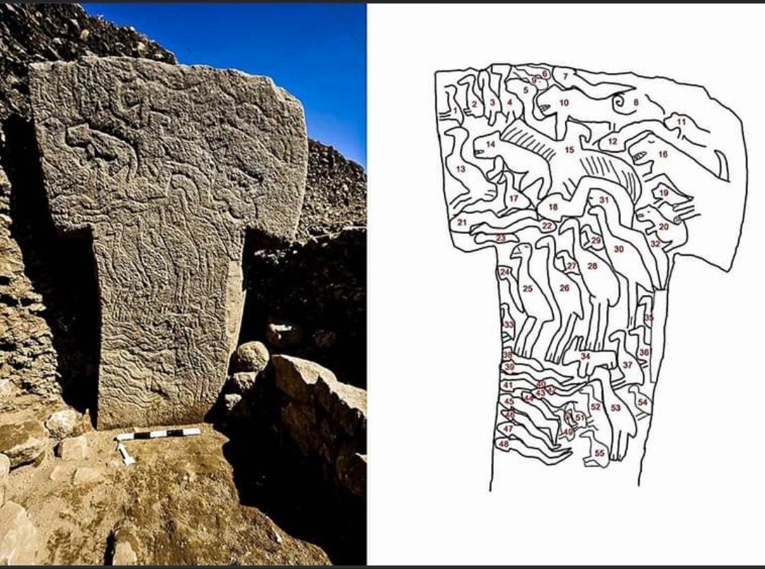 johnlopez2nd's tweet photo. Some details of the animals carved into the massive ancient stone pillars at Gobekli Tepe. Currently dated 11,600 years old... https://t.co/JCF2Tw3MKe
