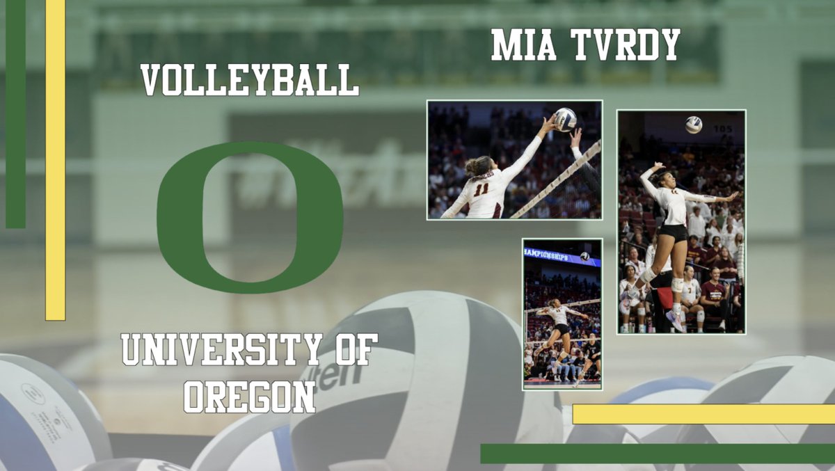 👑 Monarch Volleyball 🏐 All State Honors!

Mia Tvrdy 🥇 Team
Faith Frame 🥇 Team
Reagan Hickey 🥈 Team 

Congrats Ladies!! #WeArePLV