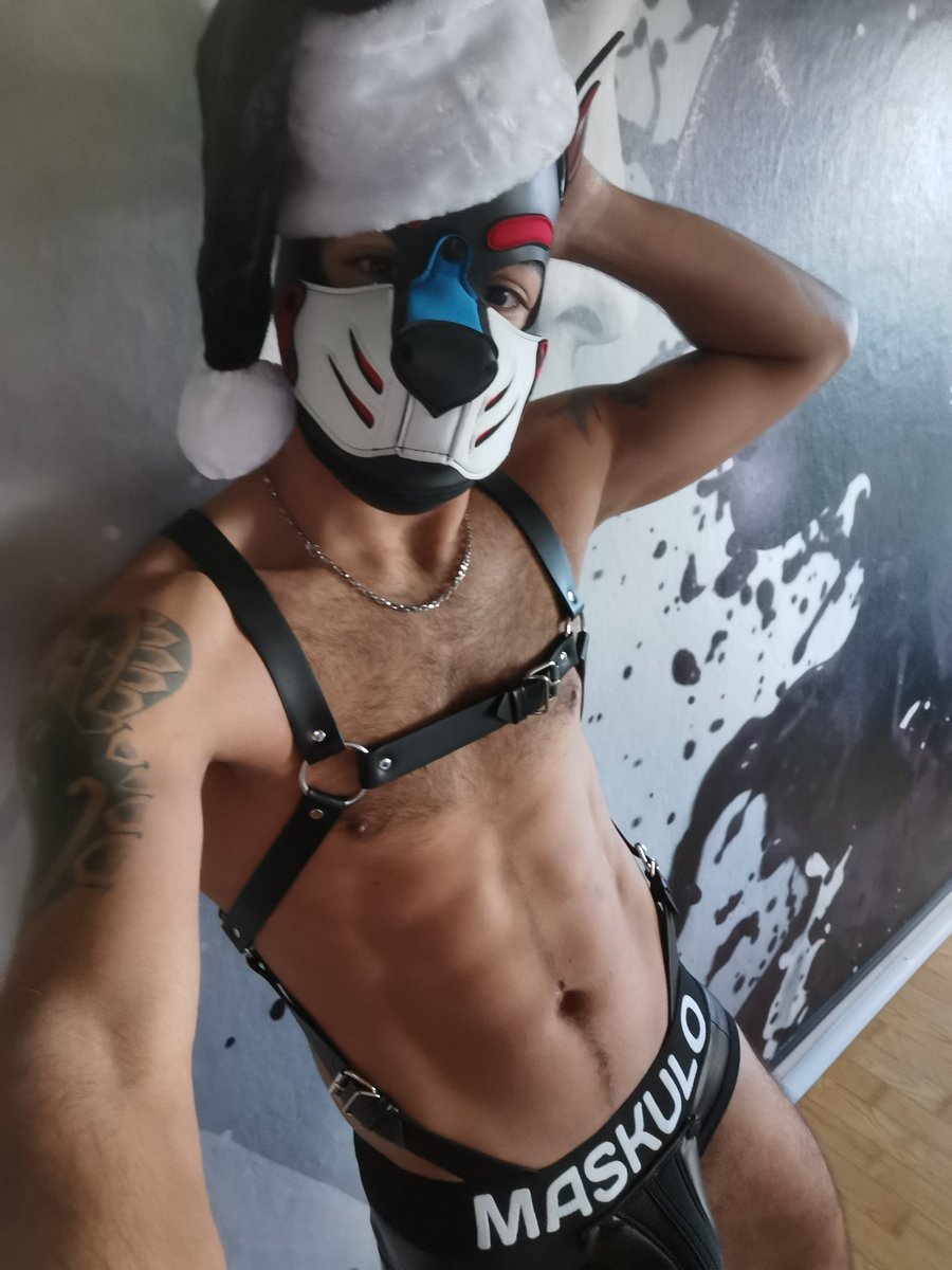 BaskoPup's tweet photo. Happy 1.ADVENT everybody
🎄🥂🕯️
🍑🍆😈😜 https://t.co/eAc4NiBcD1