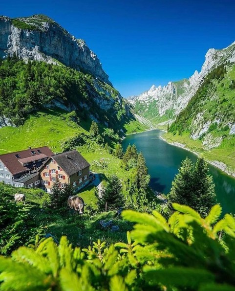 E48609Educators's tweet photo. 📍 Switzerland 🇨🇭. https://t.co/P6HS6ivq5l