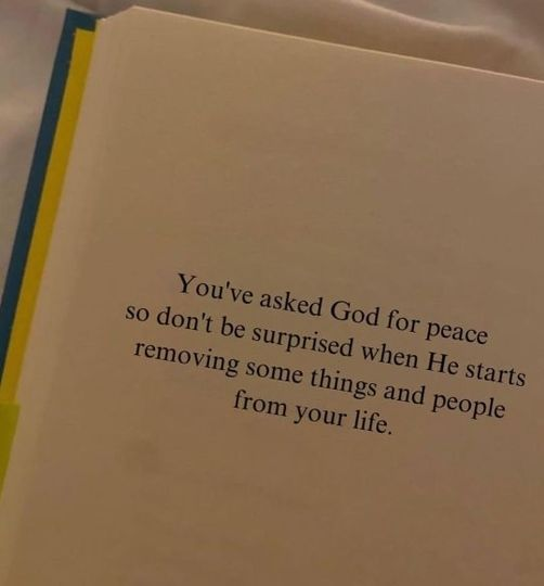mindfulmaven_'s tweet photo. https://t.co/ijCTunyEDi