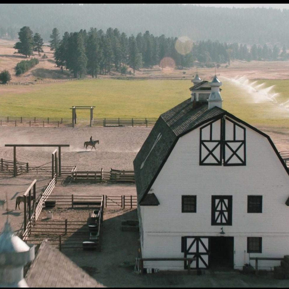 New Eden Stables tweet media