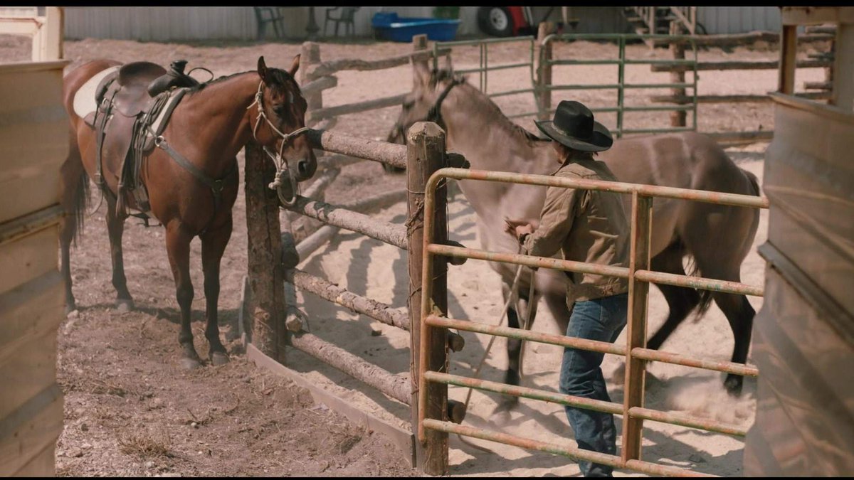 New Eden Stables tweet media