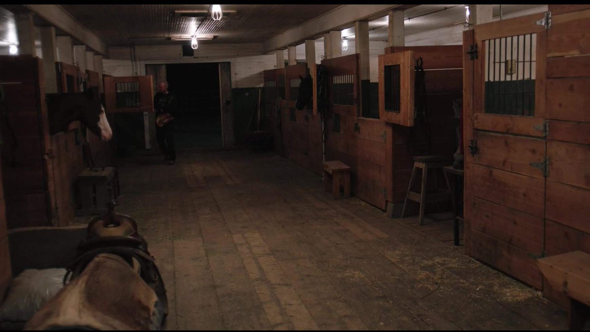 New Eden Stables tweet media