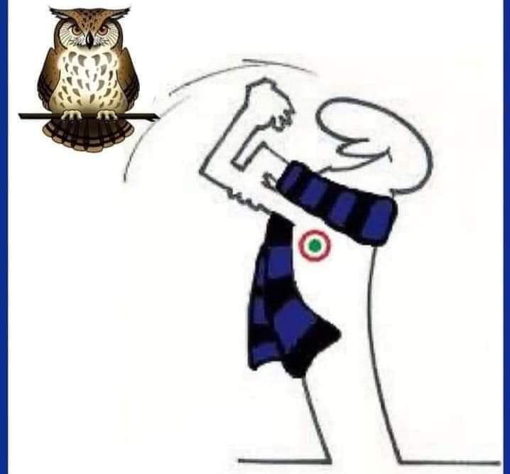 rita6255's tweet image. Buonanotte e fanc@@o ai gufi 
#forzaIntersempre