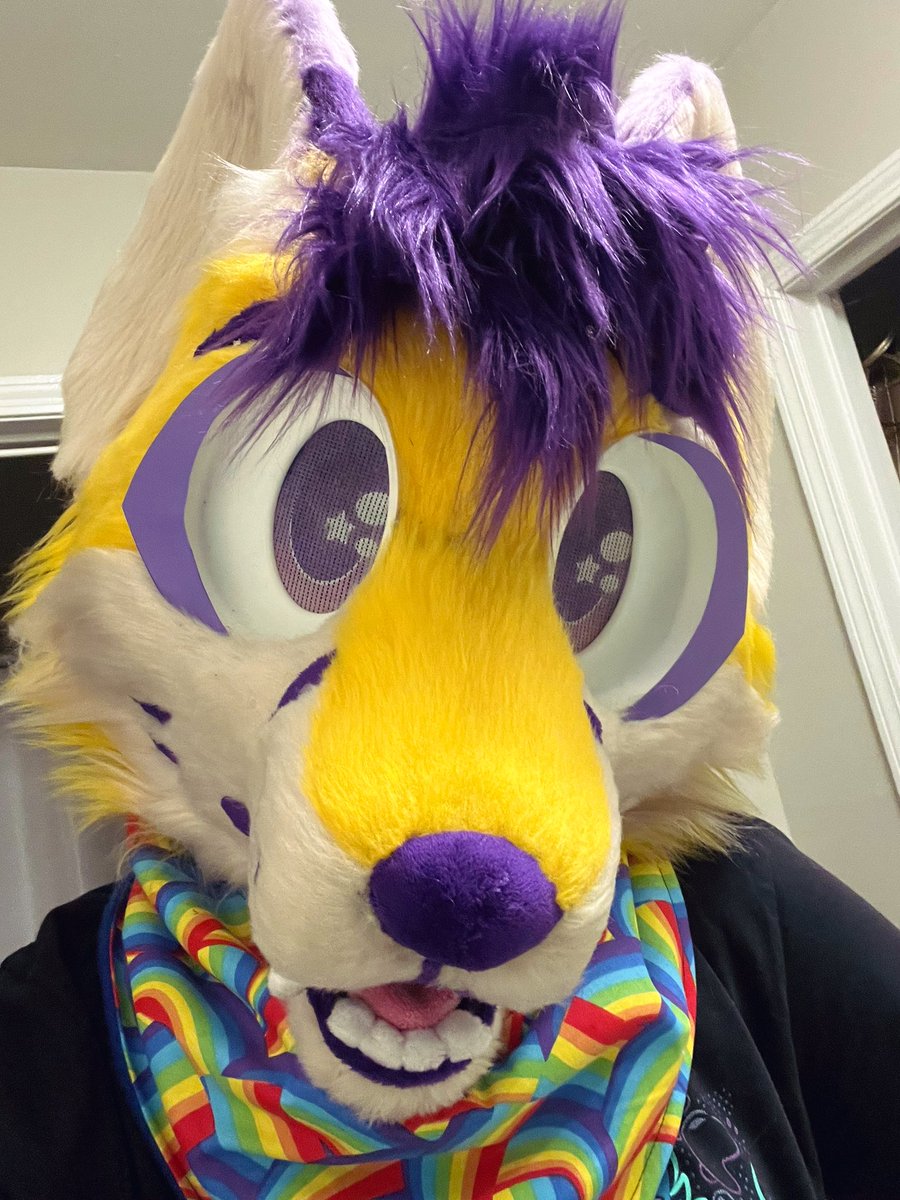 Updated Jax a bit! ⭐️ 
Lined his mouth better, gave him *actual* eyebrows and touched up his fur by shaving some of it. I also added more floof to his hair!! 💛💜
Plus, an awesome shirt I got at MFF by 
@/Jacato_ !!