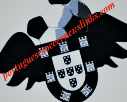Portuguese Soccer ⚽️ 🇵🇹 tweet media