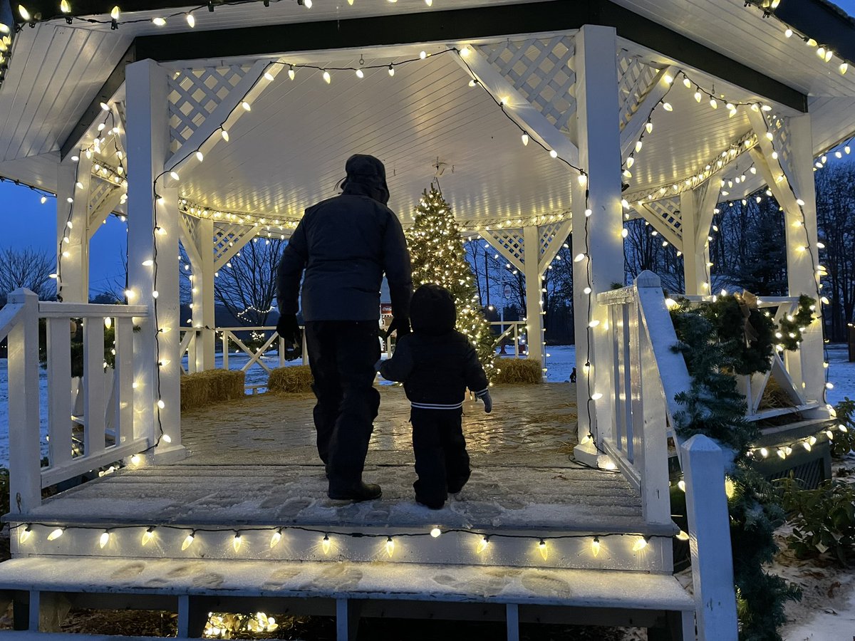 Alison Stewart tweet media