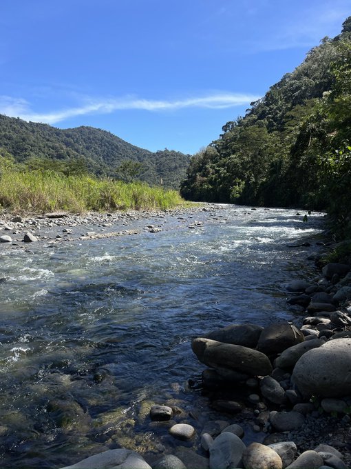 El paseo de hoy ☀️ https://t.co/LK8LYV902O