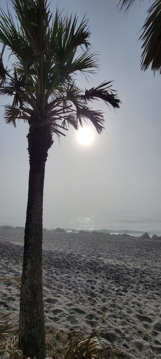 Weird weather day at Caspersen Beach! #ViniceFL