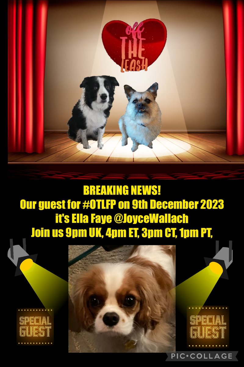 BREAKING NEWS!  Attention please Our Guest for @OffTheLeashFP #OTLFP on Saturday 9th December is  Ella Faye @JoyceWallach Come along & Join the fun 9pm UK 4pm ET 3pm CT 1pm PT Search🔎#OTLFP to join in & follow the show