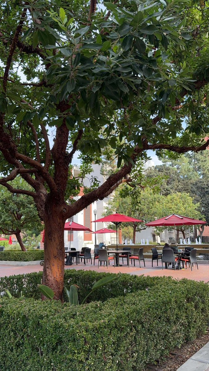 يوسف عبدالله tweet media