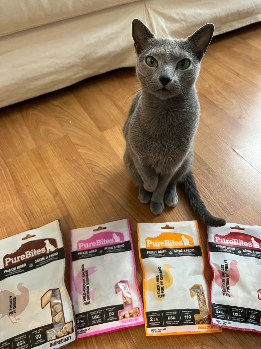 PureBites tweet media