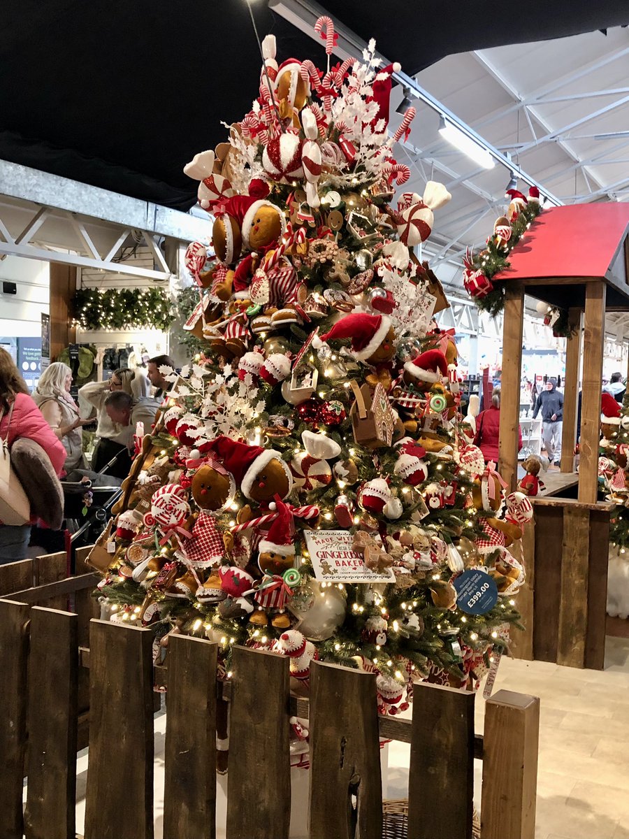 Little trip to Bents a couple of weeks ago 🎄🎅🏻 always gets us in the festive spirit! Although we spent half the day in the pet dept cuddling everyone’s dogs 🐶🥰💖 xXx #dementiacare #nonprofit #mysefton #endloneliness #friendship