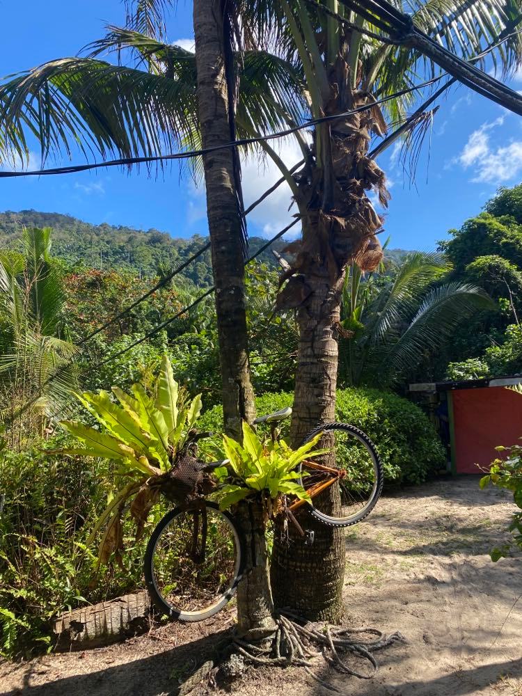 Visit Nature's Retreat: Experience the Exclusive Charm of 1511 Coconut Grove
👇👇👇👇👇👇👇
forex9c.com/1511coconut
#kualalumpur
#islandlife #traveling #Destination #sea #calm #relax #tioman
