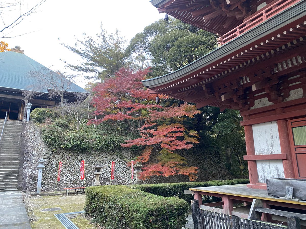 薬師堂の気温3℃

三重塔周辺…見頃
滝堂周辺…黄色
宝生殿周辺…見頃
書院北庭…見頃
参道…見頃
栄西禅師前…見頃
放生池周辺…五分
山門前…名残
駐車場…見頃