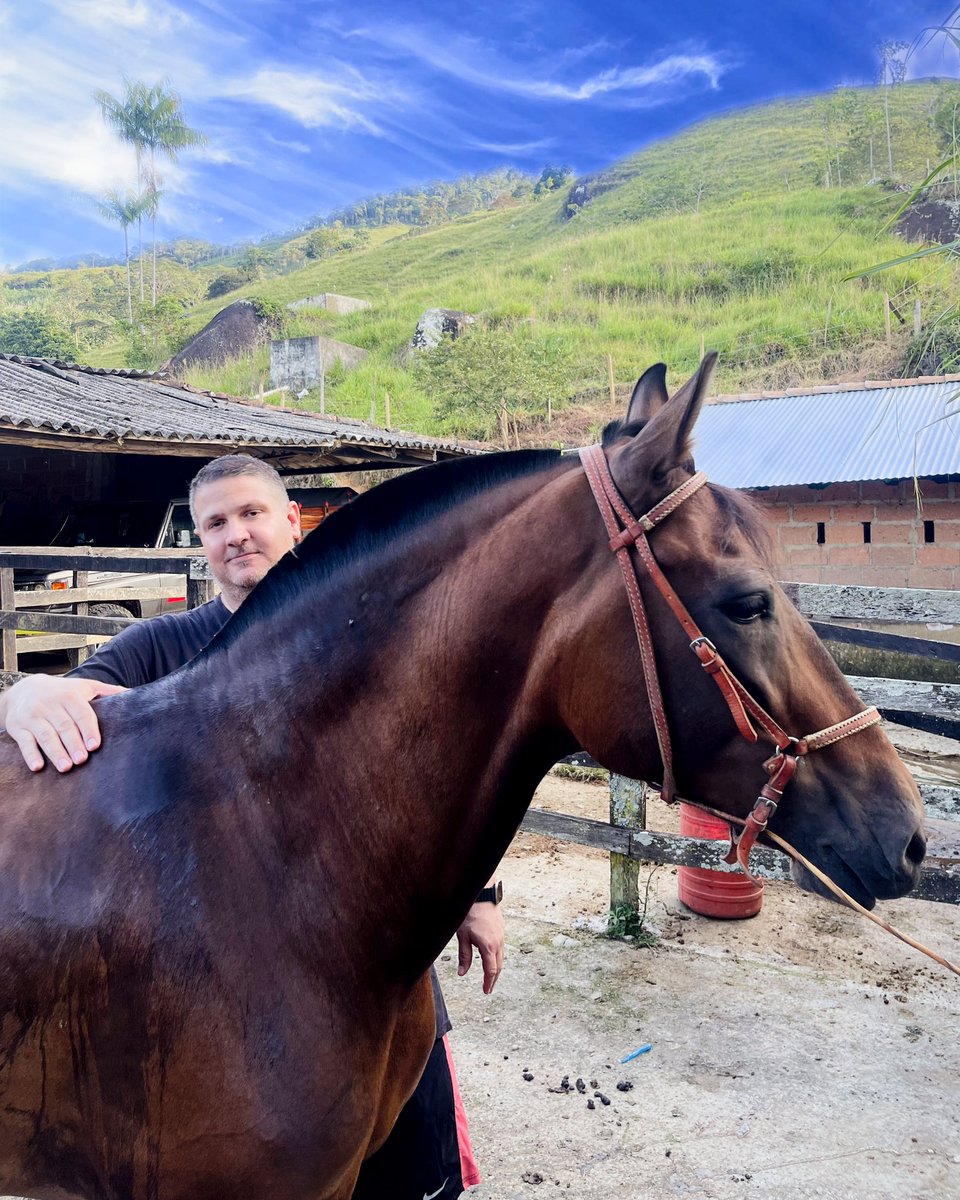 Solo se vive una vez 🐎

.

#megustaloquehago #horses <a href="/vitieirecords/">VITIEI RECORDS</a> #workalcoholic