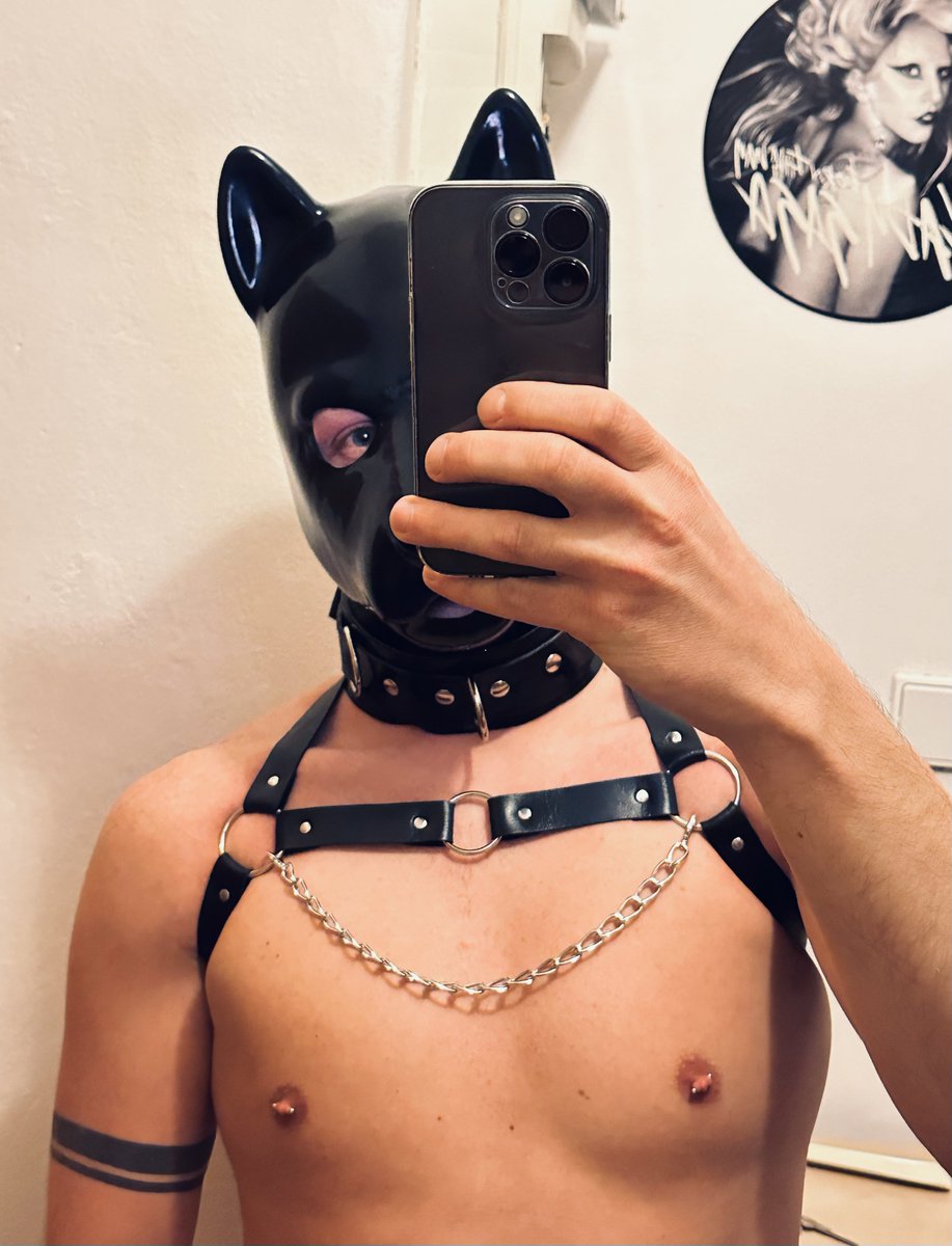 …black &amp; new harness 🖤