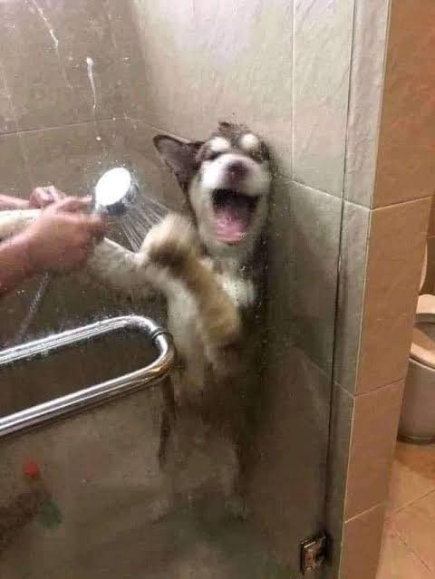twaniimals's tweet photo. https://t.co/ByXMG7AvsA