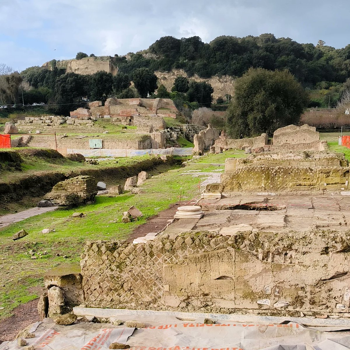 Marco Picardi tweet media