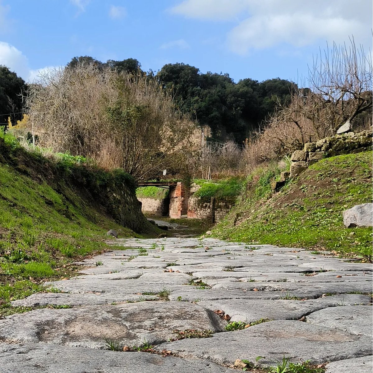 Marco Picardi tweet media