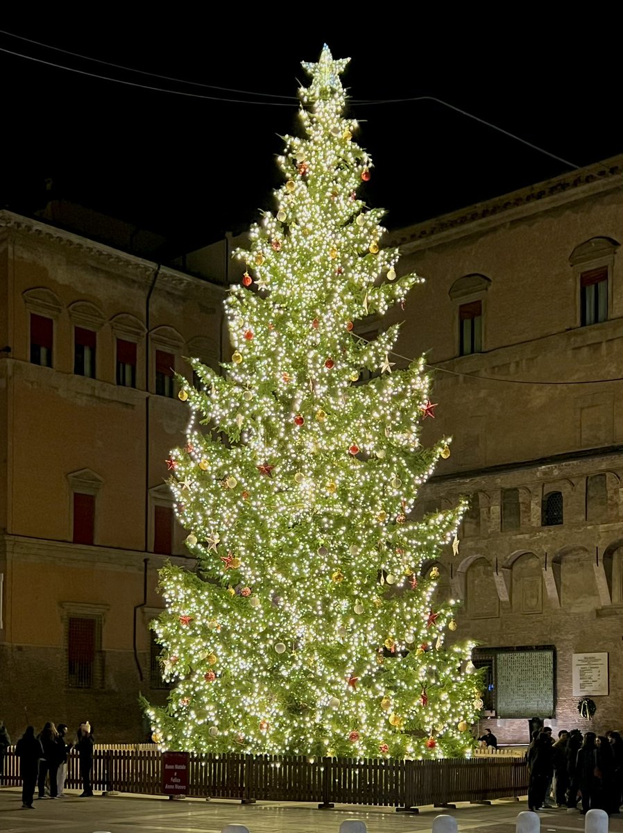 #Bologna 
#3dicembre 
#Natale2023