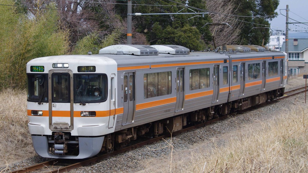 LED表示のV編成】 主に身延線・御殿場線で活躍するボックスシートの313