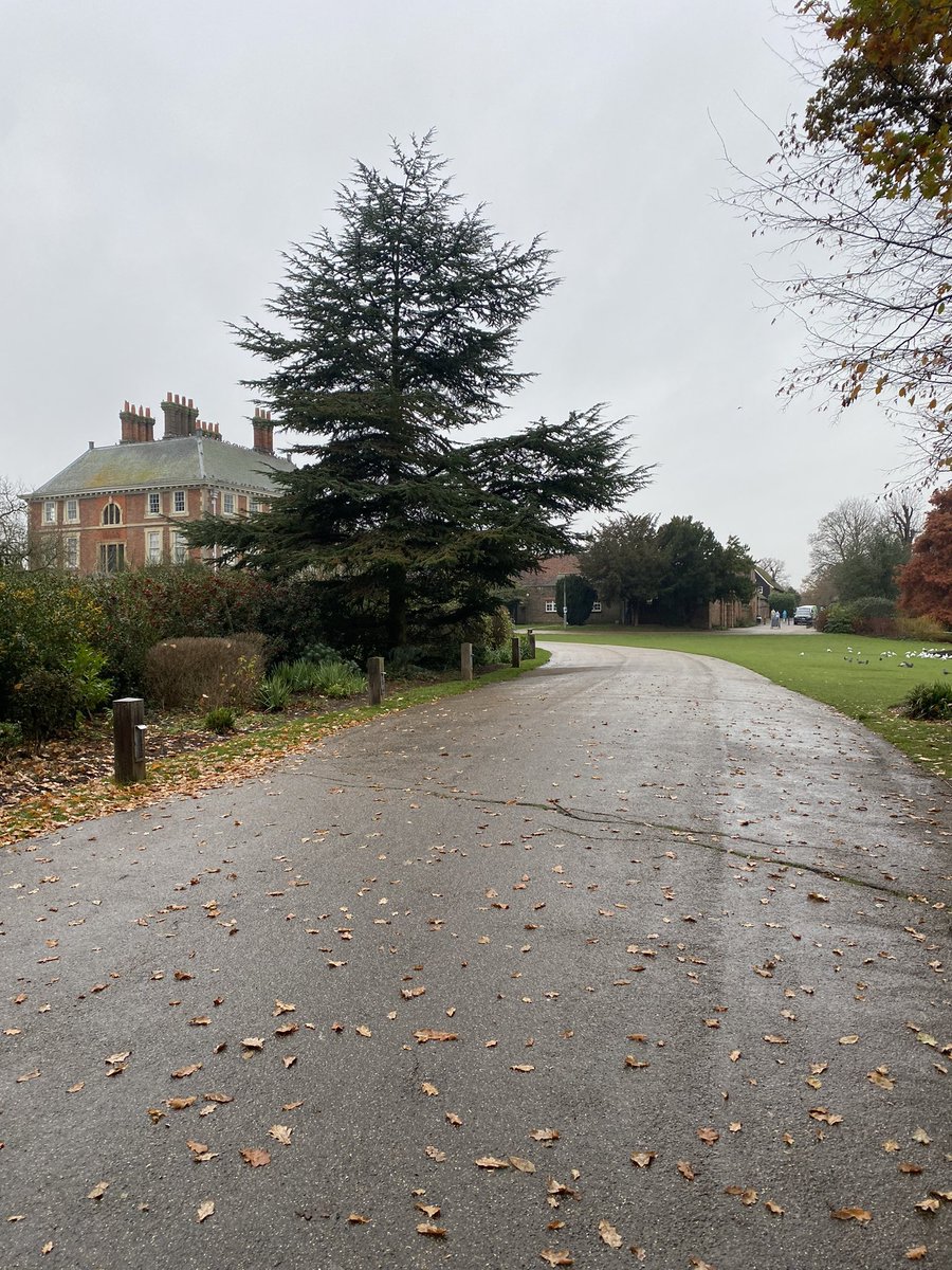 Done! Had a great fun playing beautiful Christmas music with wonderful colleagues ! 🎄