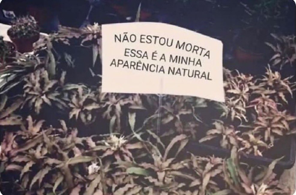 O universitário nas últimas semanas de aula do semestre