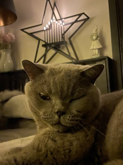 Gary love&rsquo;s Christmas 🎄 https://t.co/iPzyFssc1L<a href="/tag/linseydawnmckenzie"class="tags"><span>#linseydawnmckenzie</span></a>