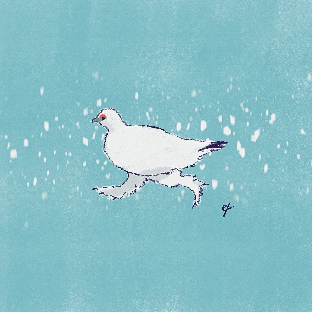 Raicho . 🕊️

#冬の創作クラスタフォロー祭 #絵柄が好きっていう人にフォローされたい #Procreate #プロクリエイト #Art #DigitalArt #drawing #絵描きさんと繋がりたい #イラスト好きさんと繋がりたい #illustlation #雷鳥  #ptarmigan
