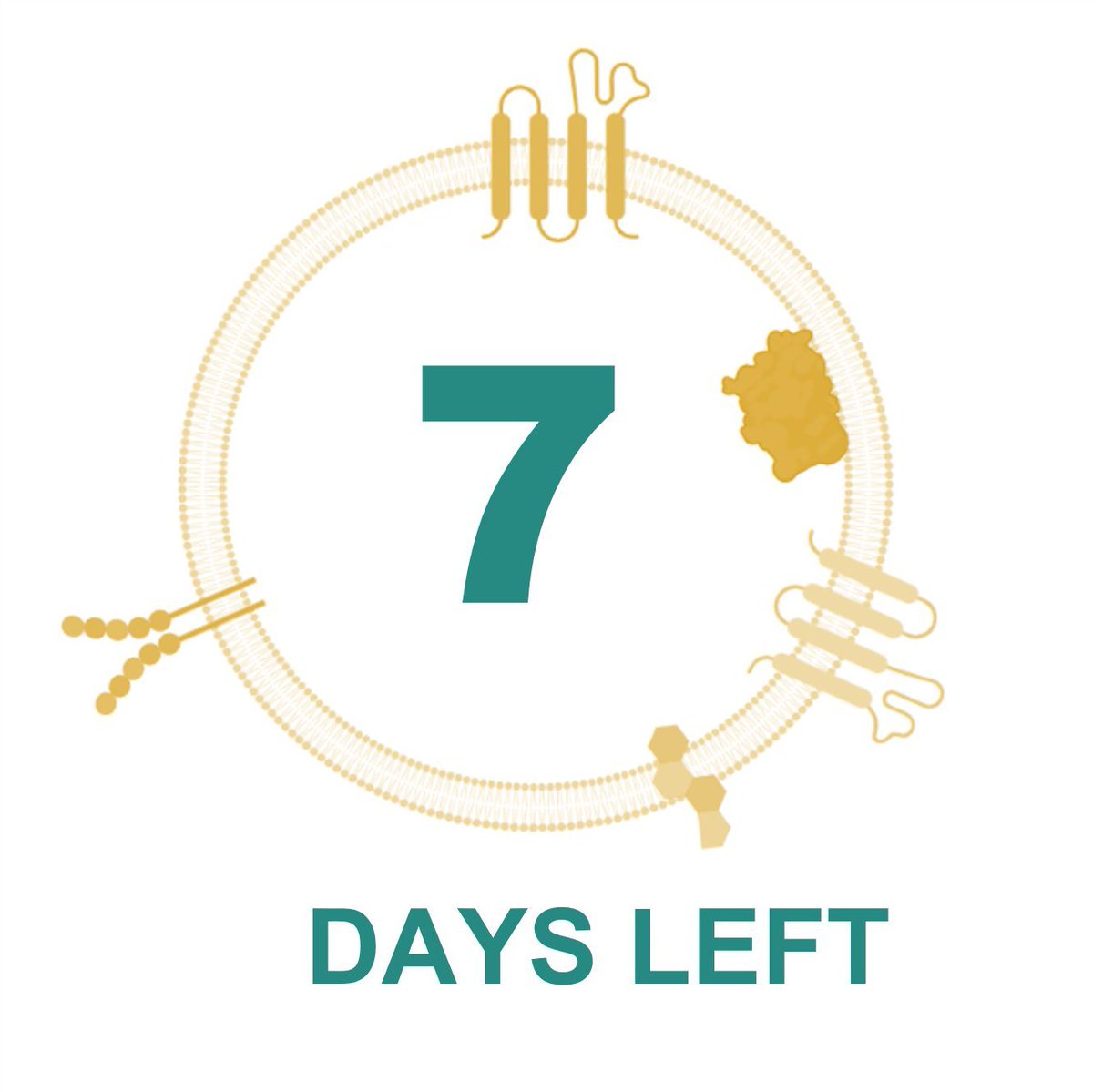 ISEV (@isevorg) on Twitter photo 🗓️ Just 7 days left to submit your abstract for #ISEV2024!
@lenassimetka <a href="/cblenkie/">Cherie Blenkiron 🍒</a> @kennethwwitwer <a href="/carney_lab/">Randy Carney</a> @natalieturnerau @charleslailab @ISEVcomms
buff.ly/49nCSTS 🗓️ Just 7 days left to submit your abstract for #ISEV2024!
@lenassimetka <a href="/cblenkie/">Cherie Blenkiron 🍒</a> @kennethwwitwer <a href="/carney_lab/">Randy Carney</a> @natalieturnerau @charleslailab @ISEVcomms
buff.ly/49nCSTS