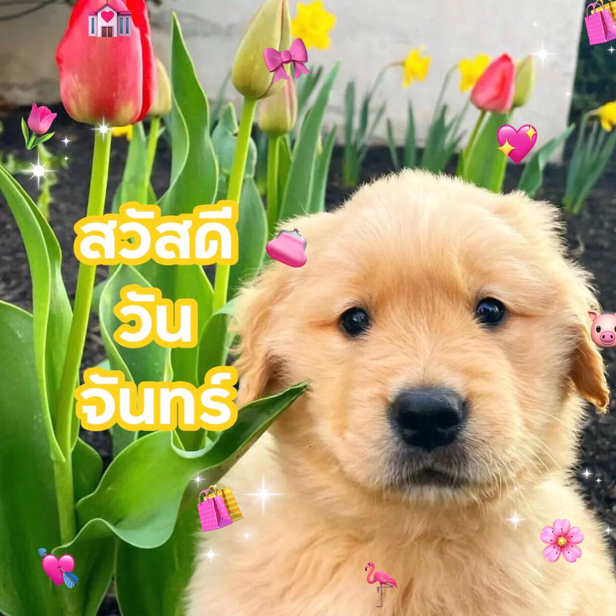 takemybear 🐶 tweet media