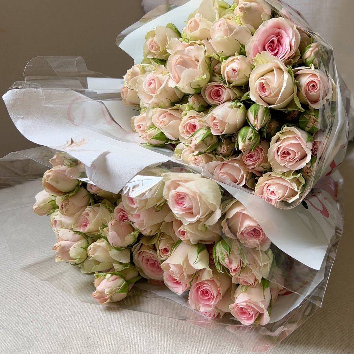 في جيب الليل خبأتُ لكَ رسائل غرامٍ ملونة و بكل طيشي أمطرتها تقبيلًا .