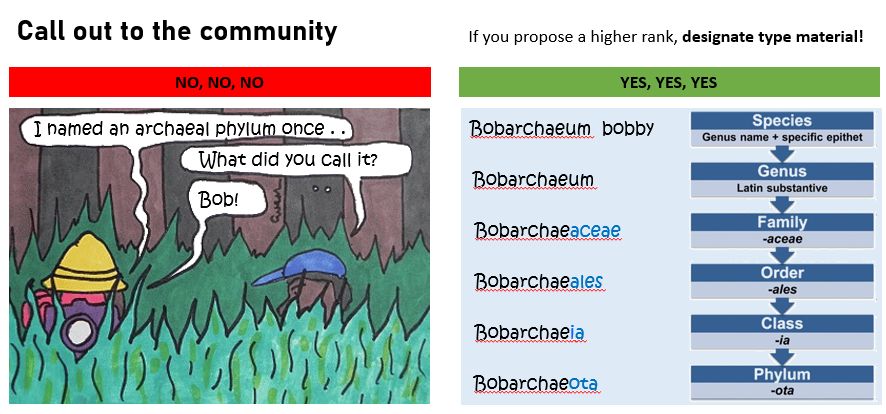 Are you proposing a new #archaeal or #bacterial lineage?

Congrats! - and please remember that designating #typematerial such as a #typegenome is #essential when proposing a higher rank (#phylum, #class, #order, etc)! 
So, don't just call it "Bob" and walk away 😉