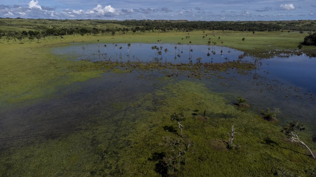 ¿Conoces el último #PNN de Colombia?

<a href="/nature_org/">The Nature Conservancy</a> está orgulloso de apoyar la protección de la Serranía de Manacacías y la creación del PNN #61 del país🌄🇨🇴. Un hogar de cientos de aves, mamíferos y peces de agua dulce que ahora estará protegido🤲🏽.
 <a href="/ParquesColombia/">Parques Nacionales Naturales de Colombia</a>