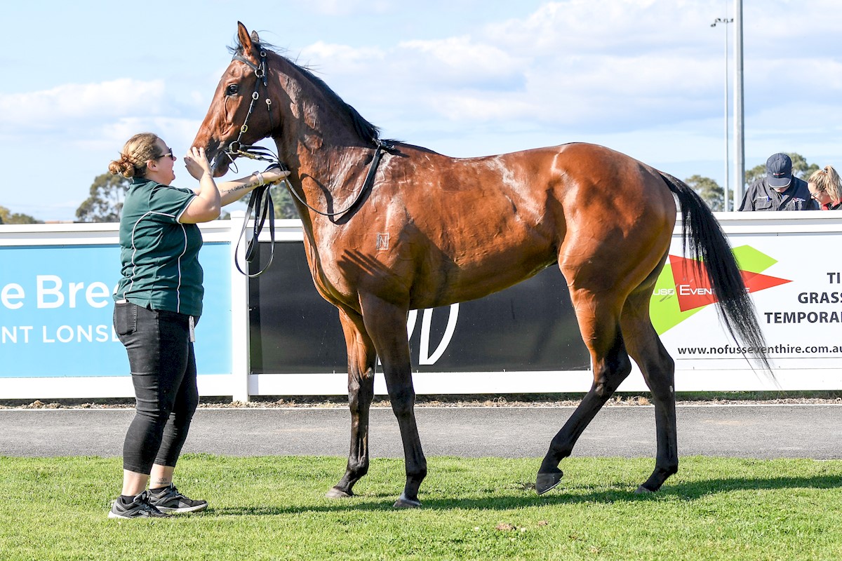 lindsayparkrace's tweet photo. The bond between Crosshaven &amp; our Flemington Vet Nurse Jana is something else 😍
Crossy isn't the cuddly type, with Jana being the exception to the rule. Mates since his 1st day on the yard, Jana has been with Crossy every step of his career pictured at his debut win in 2020🥇 https://t.co/ICu6QywPNP