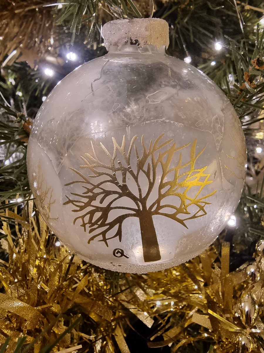 JTCHANGINGBIZ's tweet photo. Tree's up
#Treeflections https://t.co/ceBTMVQwcV