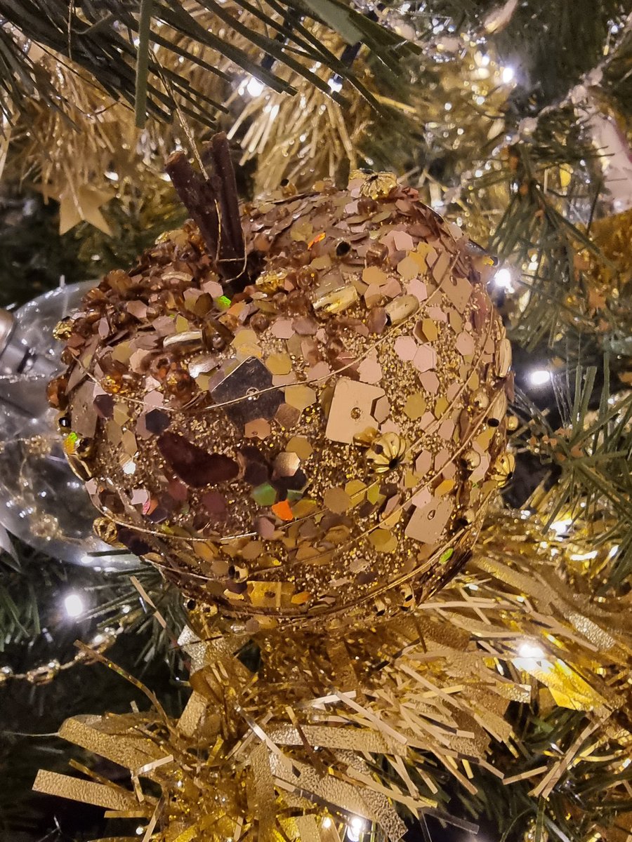 JTCHANGINGBIZ's tweet photo. Tree's up
#Treeflections https://t.co/ceBTMVQwcV
