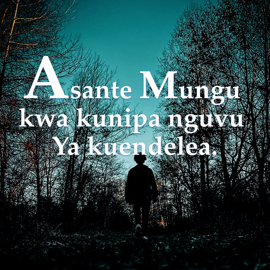 nicebower's tweet image. 