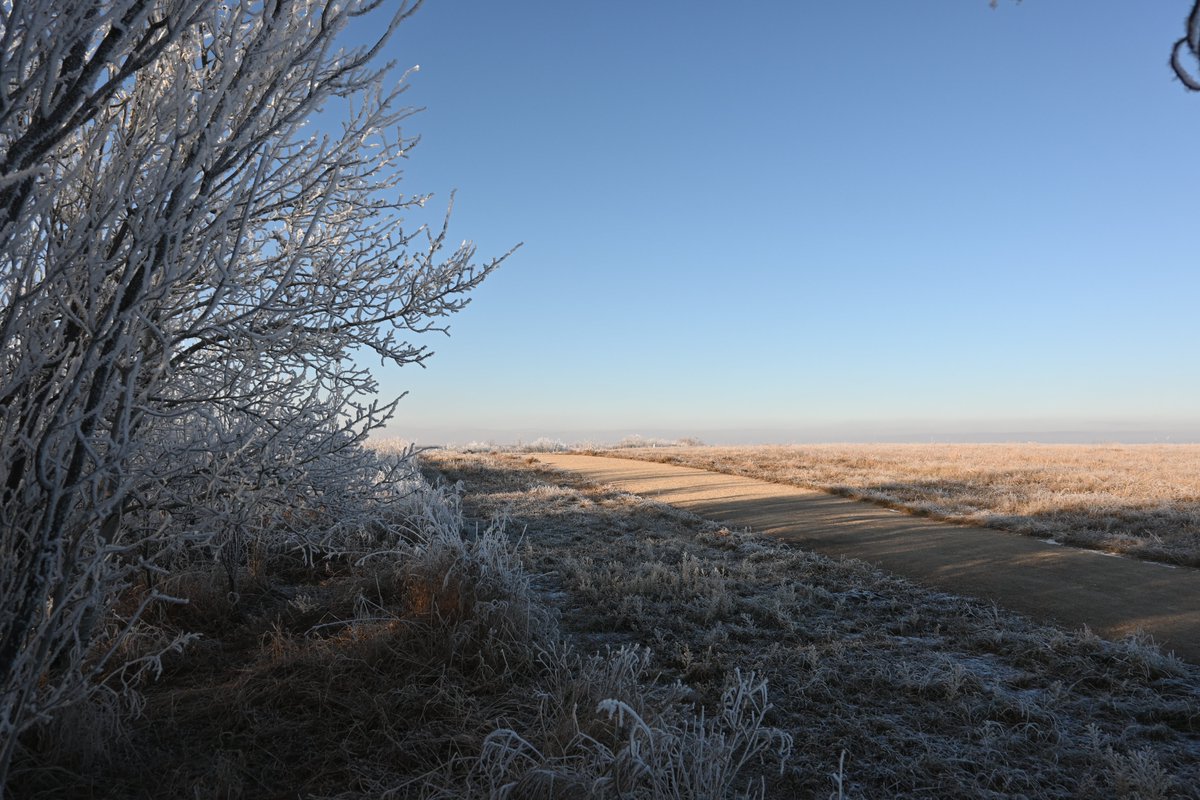 A nice hoar frost at #chiefwhitecap today. #Saskatoon #YXE
