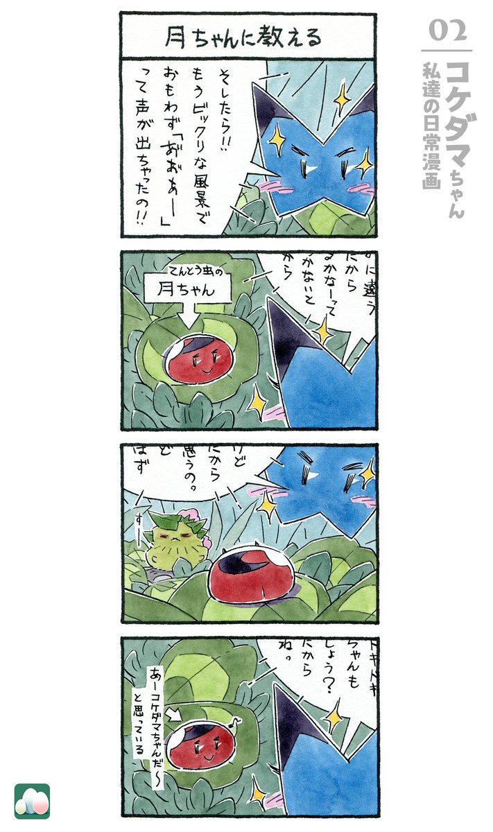 コケダマちゃん 私達の日常漫画 2/16