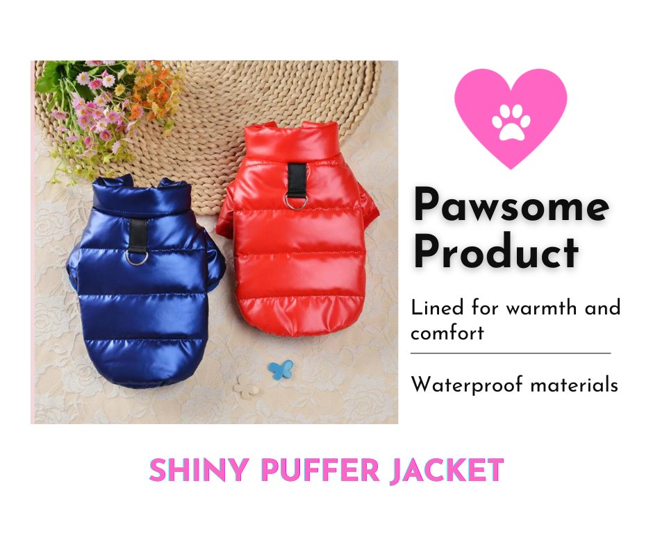FluffAndFloof's tweet photo. Our Shiny Puffer Jacket is the perfect combination of style, comfort, and durability. That's why it is our #Pawsome Product of the week! Order here: 
https://t.co/J4P4DImtLM
#FreeShipping worldwide 🌏✈
No minimum purchase is required.
XOX
FLUFF &amp; FLOOF 🐾
#petapparel #petfashion https://t.co/8n98w25PMw