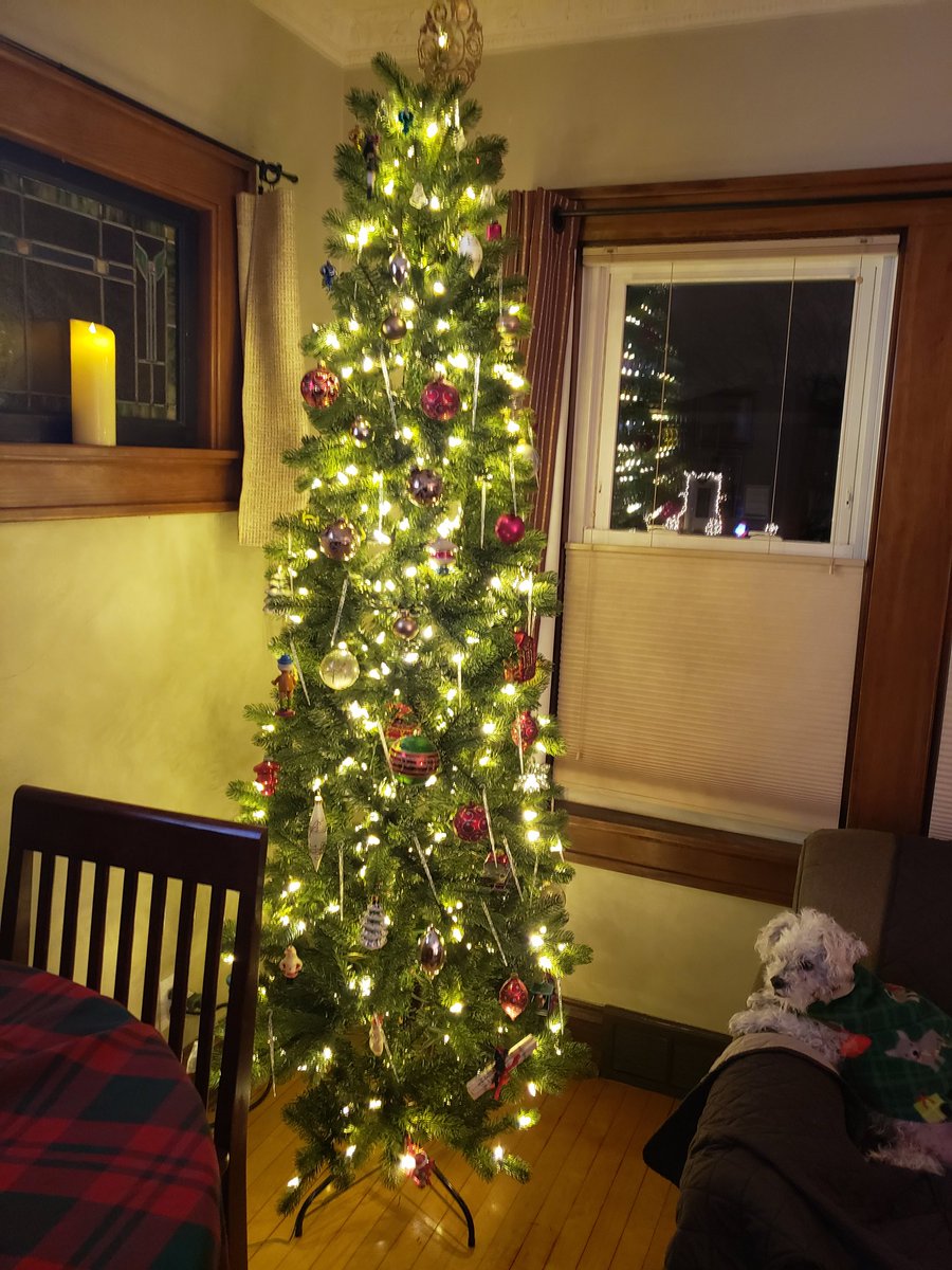 FCS_Monte's tweet photo. On our fake tree we proudly hang the two wax ornaments from my parents bought during WWII when metal ornaments weren't available. https://t.co/izv1HHleKm