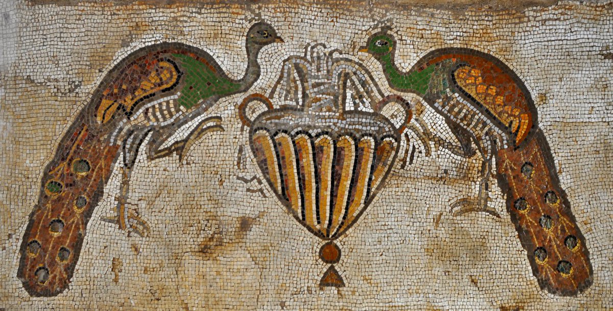 Jon Hawke 🏛️🏺 tweet media