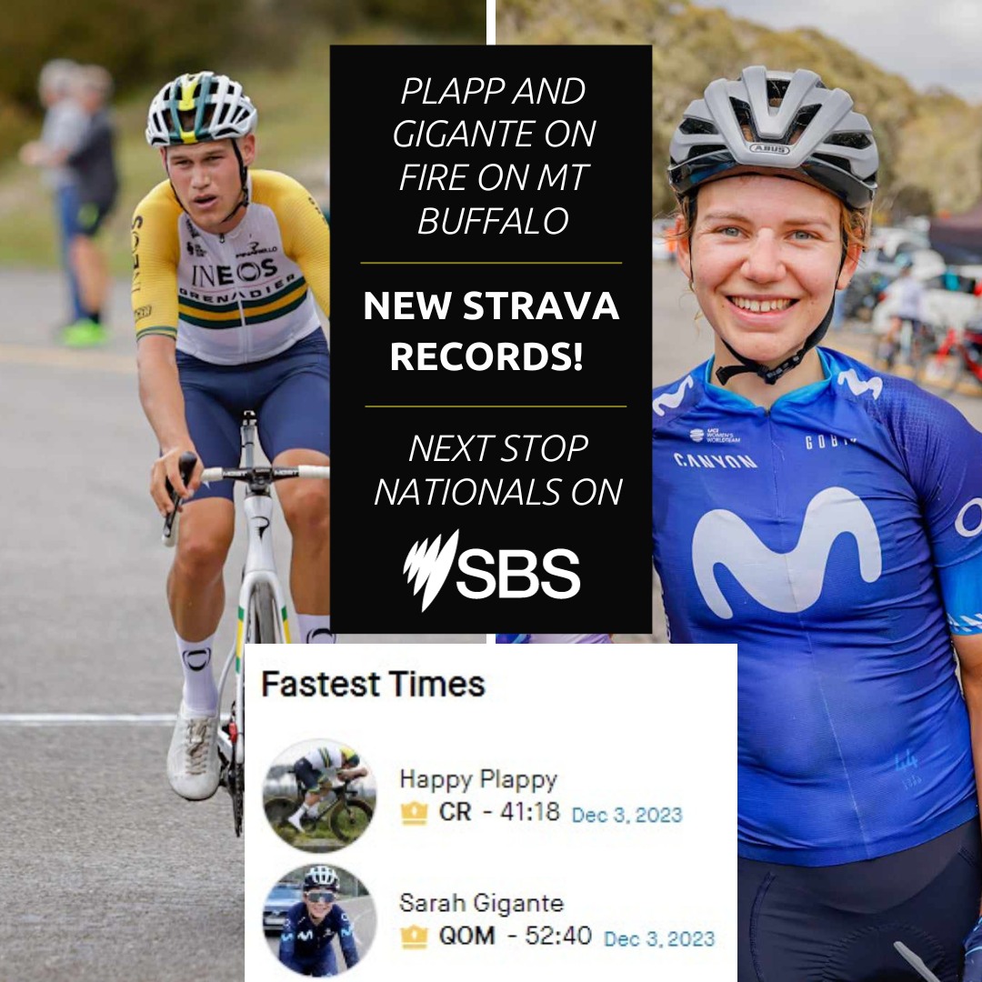 SBS Sport tweet media