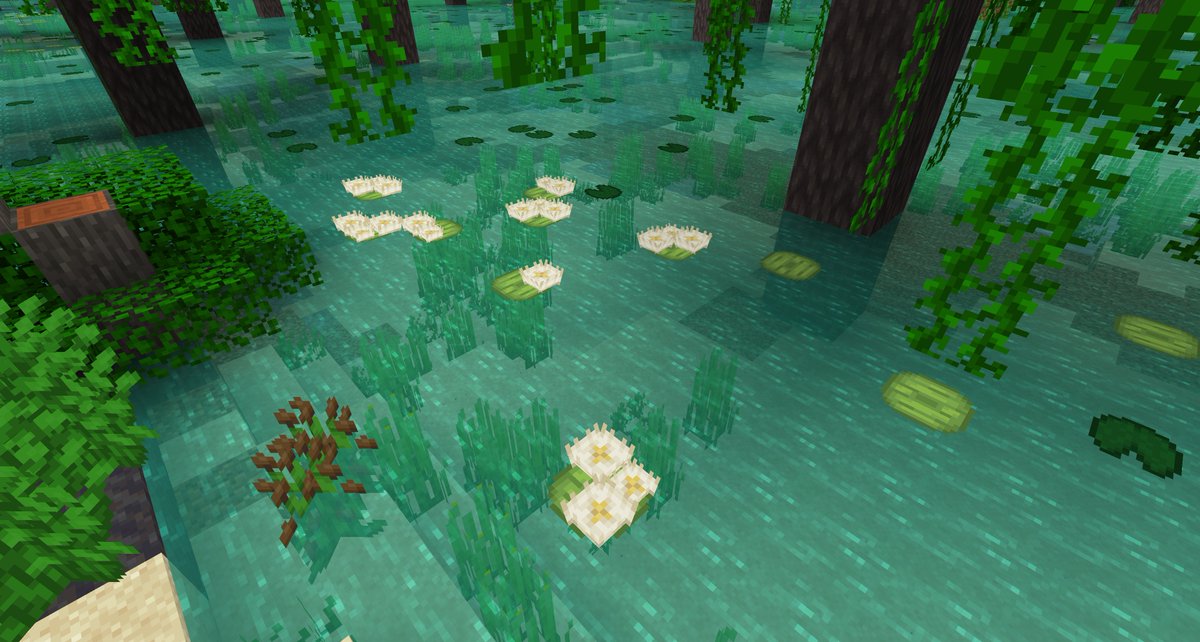 Eko | ایکو | एको tweet media